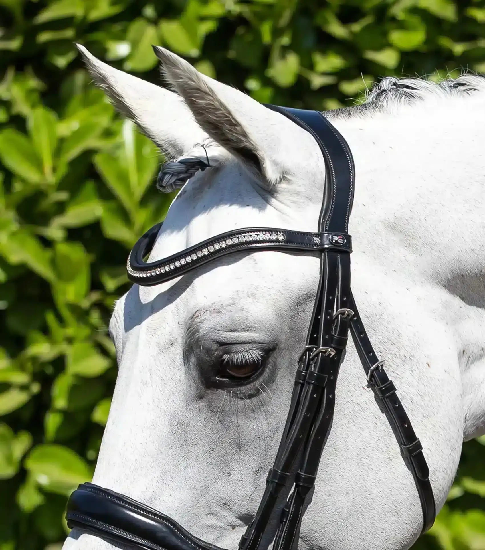 Premier Equine Abriano Anatomic Double Bridle by Premier Equine at  Try a Bit