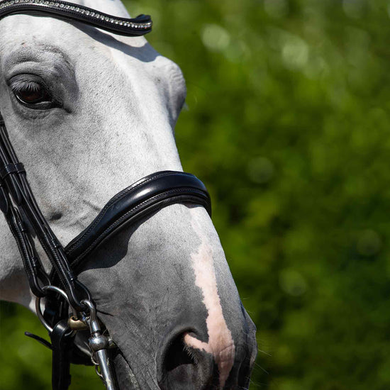Premier Equine Abriano Anatomic Double Bridle by Premier Equine at  Try a Bit