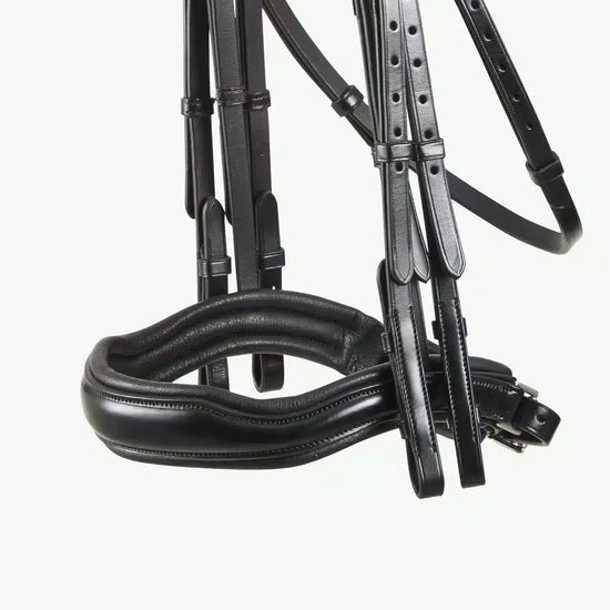 Premier Equine Abriano Anatomic Double Bridle by Premier Equine at  Try a Bit