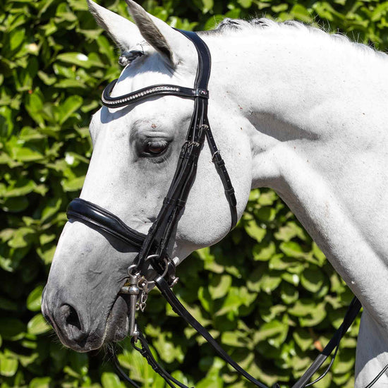 Premier Equine Abriano Anatomic Double Bridle by Premier Equine at  Try a Bit
