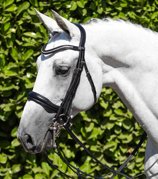 Premier Equine Abriano Anatomic Double Bridle by Premier Equine at  Try a Bit
