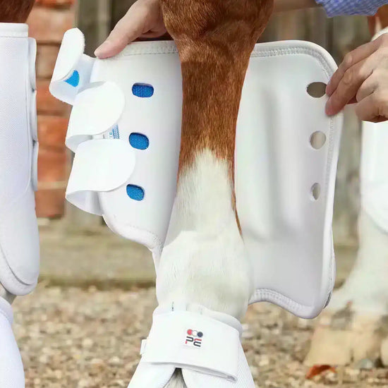 Premier Equine Air Cooled Original Eventing Boots - Front by Premier Equine at  Try a Bit