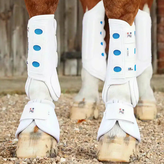 Premier Equine Air Cooled Original Eventing Boots - Front by Premier Equine at  Try a Bit