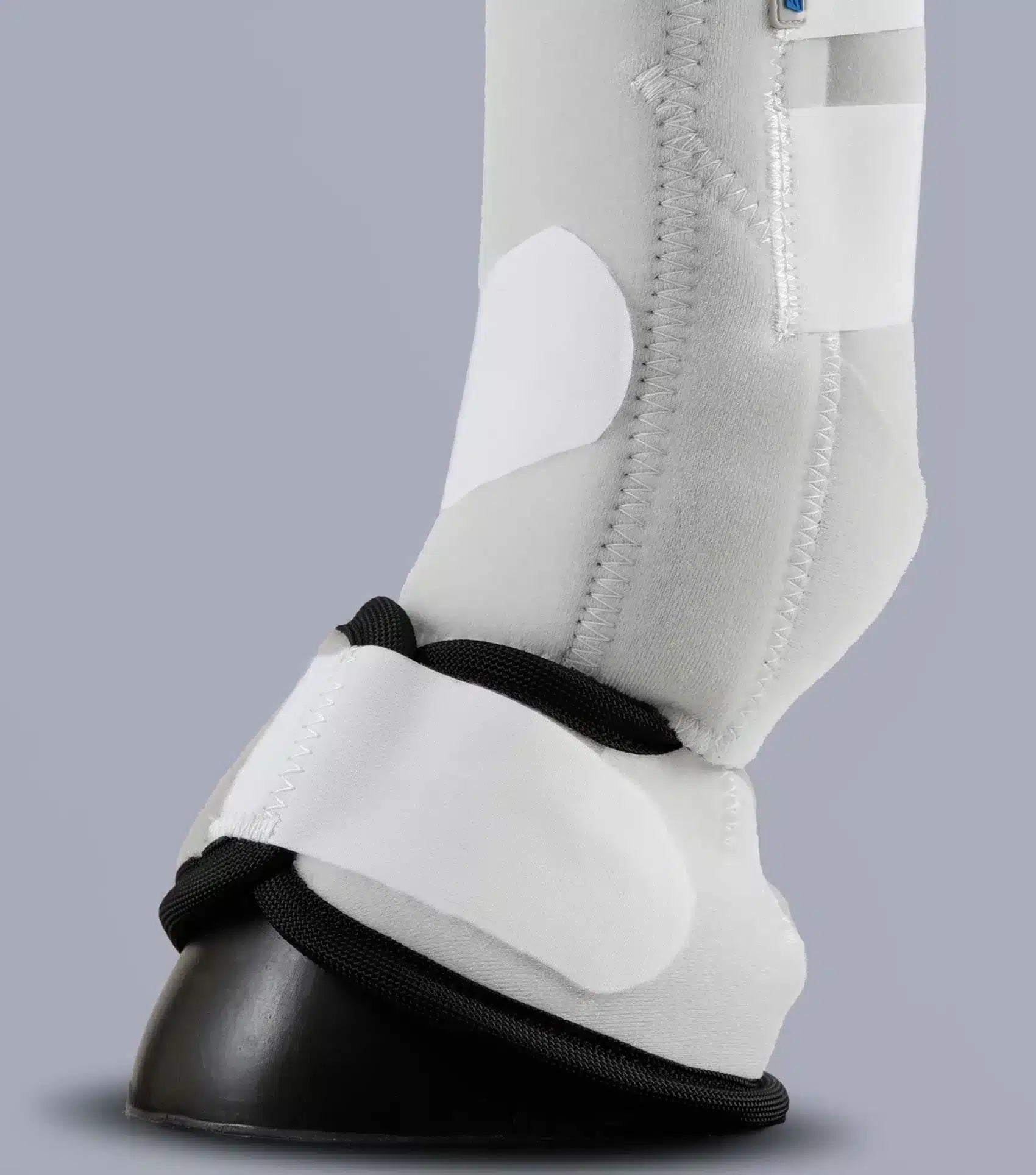 Premier Equine Air-Tech Combo Sports Medicine Boots by Premier Equine at  Try a Bit
