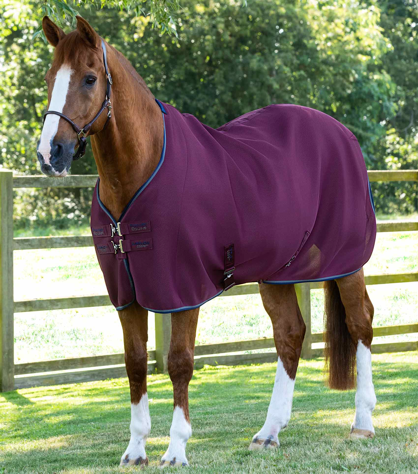 Premier Equine Airflow Cooler Rug by Premier Equine at  Try a Bit