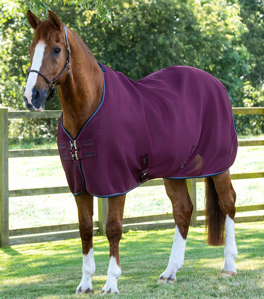 Premier Equine Airflow Cooler Rug by Premier Equine at  Try a Bit