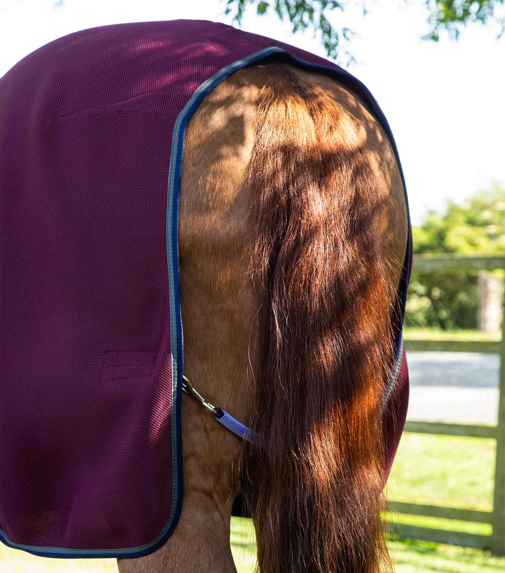 Premier Equine Airflow Cooler Rug by Premier Equine at  Try a Bit