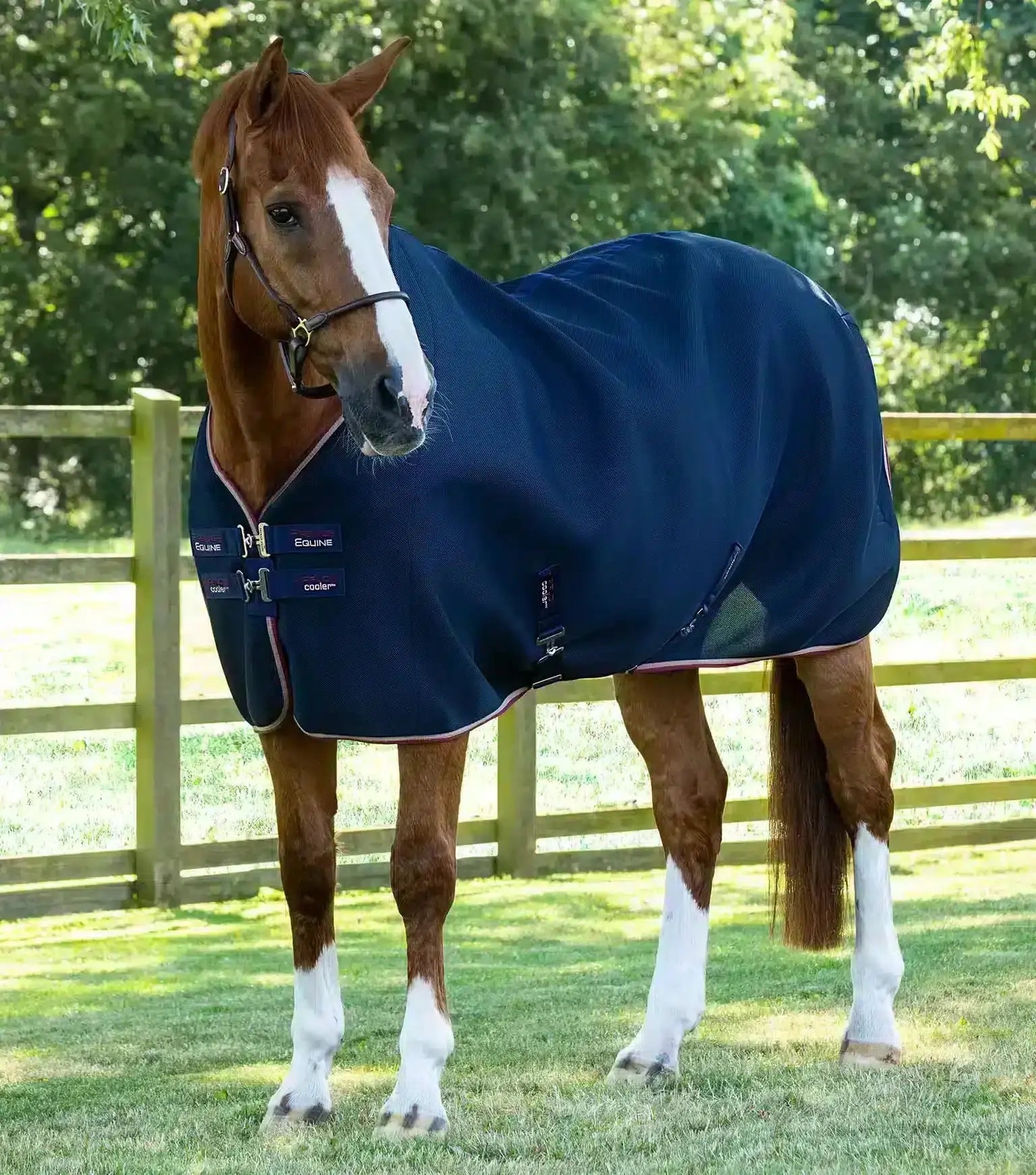 Premier Equine Airflow Cooler Rug by Premier Equine at  Try a Bit