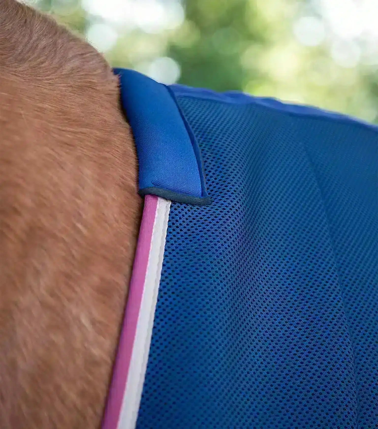 Premier Equine Airflow Cooler Rug by Premier Equine at  Try a Bit
