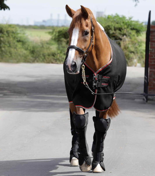 Premier Equine Airtechnology Knee Pro-Tech Horse Travel Boots by Premier Equine at  Try a Bit