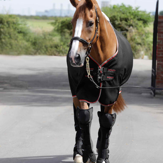 Premier Equine Ballistic Knee Pro-Tech Horse Travel Boots by Premier Equine at  Try a Bit