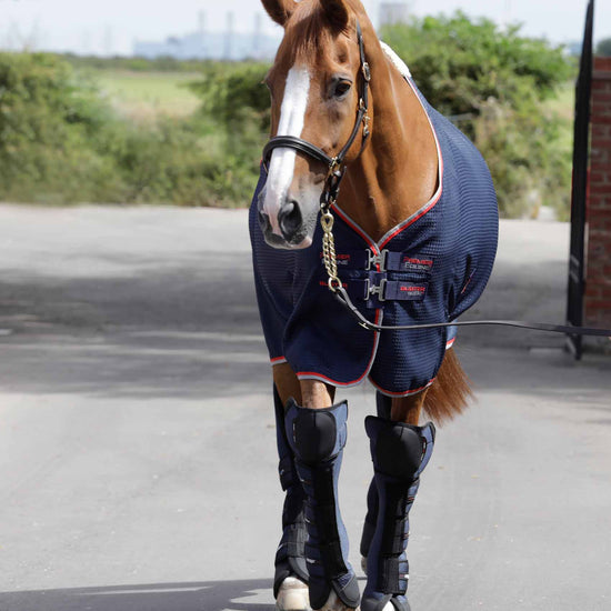 Premier Equine Ballistic Knee Pro-Tech Horse Travel Boots by Premier Equine at  Try a Bit