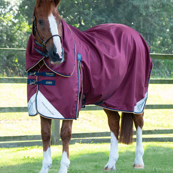 Premier Equine Akoni 0g Turnout Rug with Classic Neck Cover by Premier Equine at  Try a Bit
