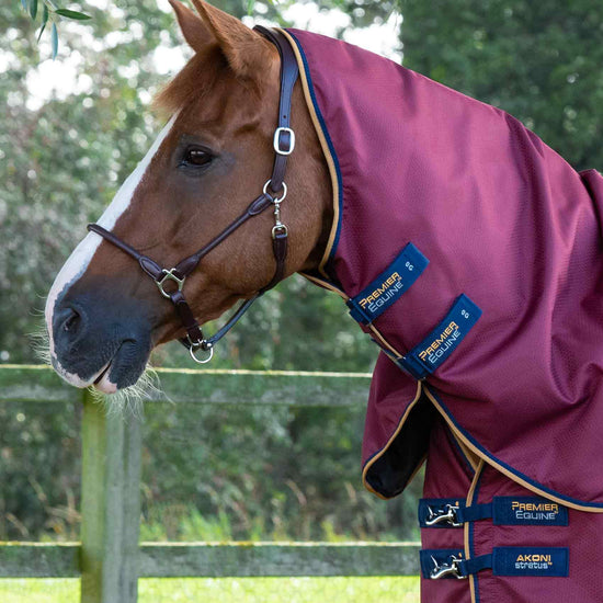 Premier Equine Akoni 0g Turnout Rug with Classic Neck Cover by Premier Equine at  Try a Bit