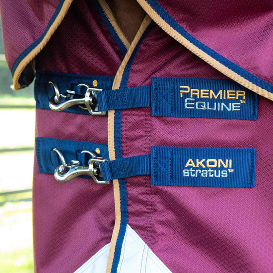 Premier Equine Akoni 0g Turnout Rug with Classic Neck Cover by Premier Equine at  Try a Bit