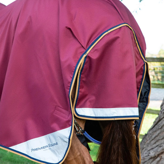 Premier Equine Akoni 0g Turnout Rug with Classic Neck Cover by Premier Equine at  Try a Bit