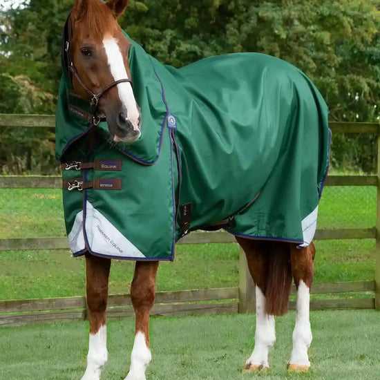 Premier Equine Akoni 0g Turnout Rug with Classic Neck Cover by Premier Equine at  Try a Bit
