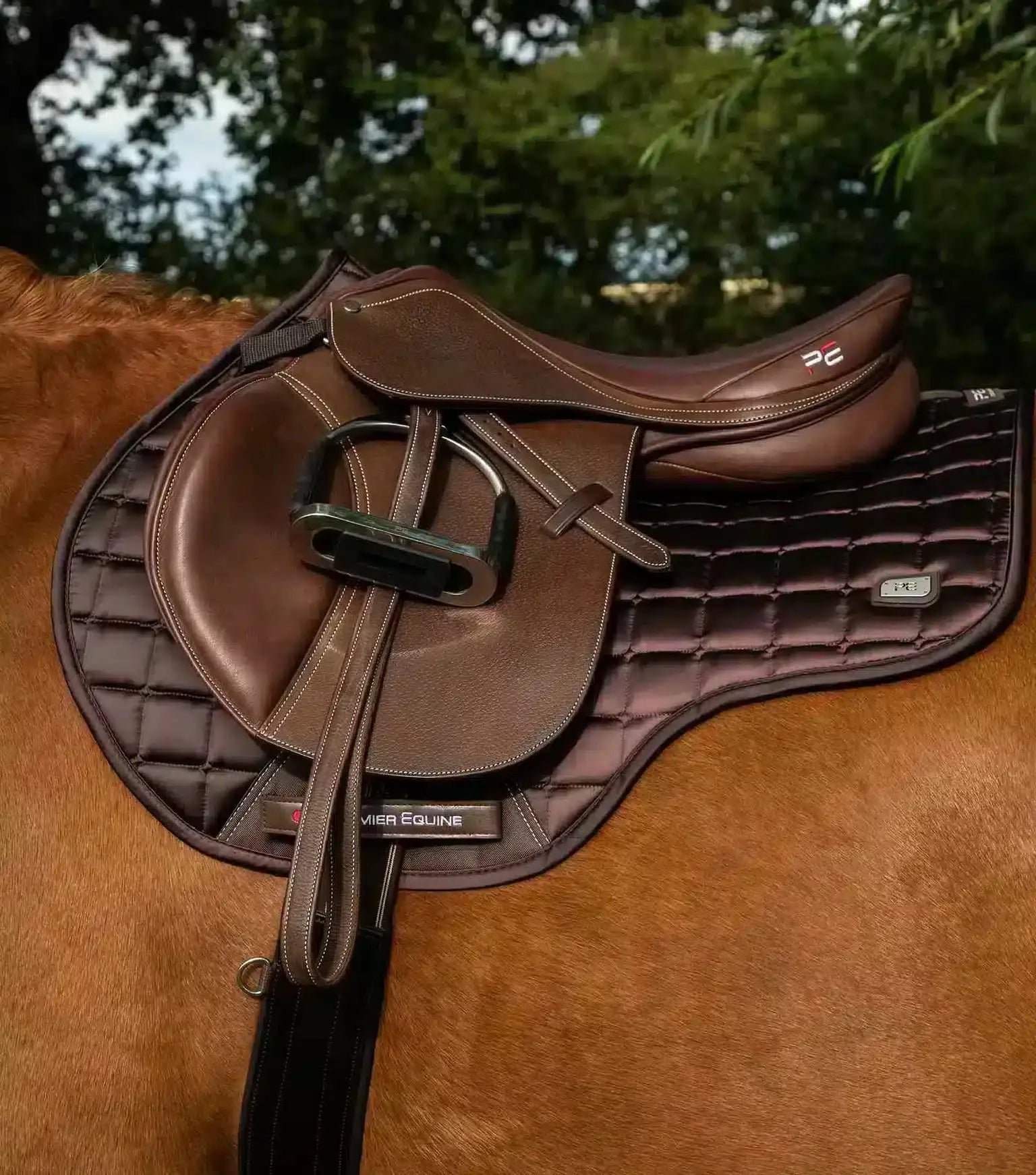 Premier Equine Alberta CC Satin GP/Jump Square by Premier Equine at  Try a Bit