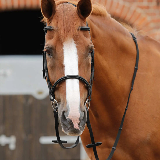 Premier Equine Altare Web Reins by Premier Equine at  Try a Bit