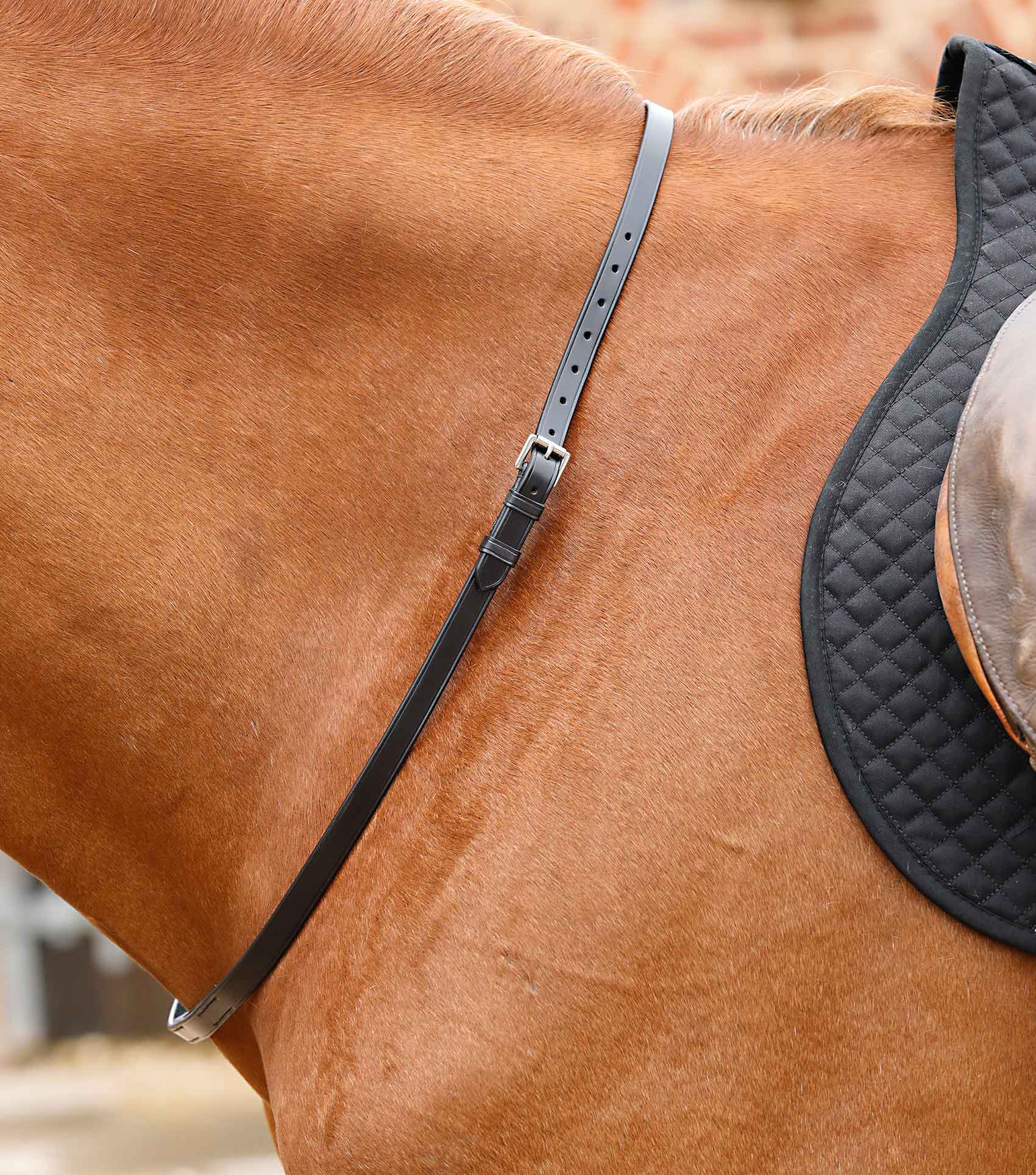 Premier Equine Altino Horse Neck Strap by Premier Equine at  Try a Bit