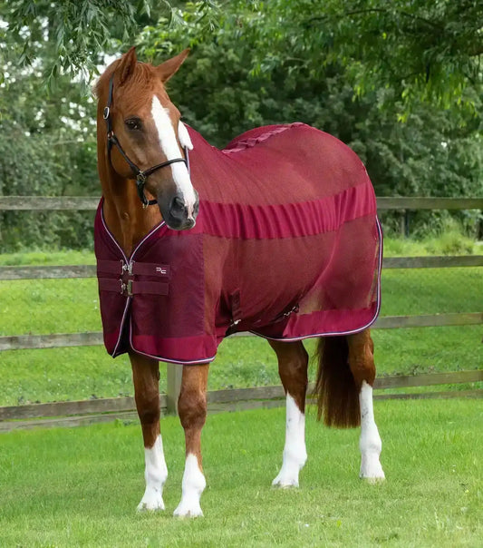 Premier Equine Arisca Scrim Cooler by Premier Equine at  Try a Bit