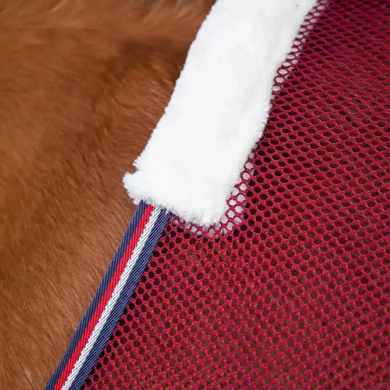 Premier Equine Arisca Scrim Cooler by Premier Equine at  Try a Bit