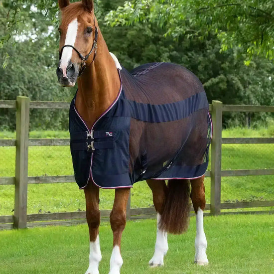 Premier Equine Arisca Scrim Cooler by Premier Equine at  Try a Bit