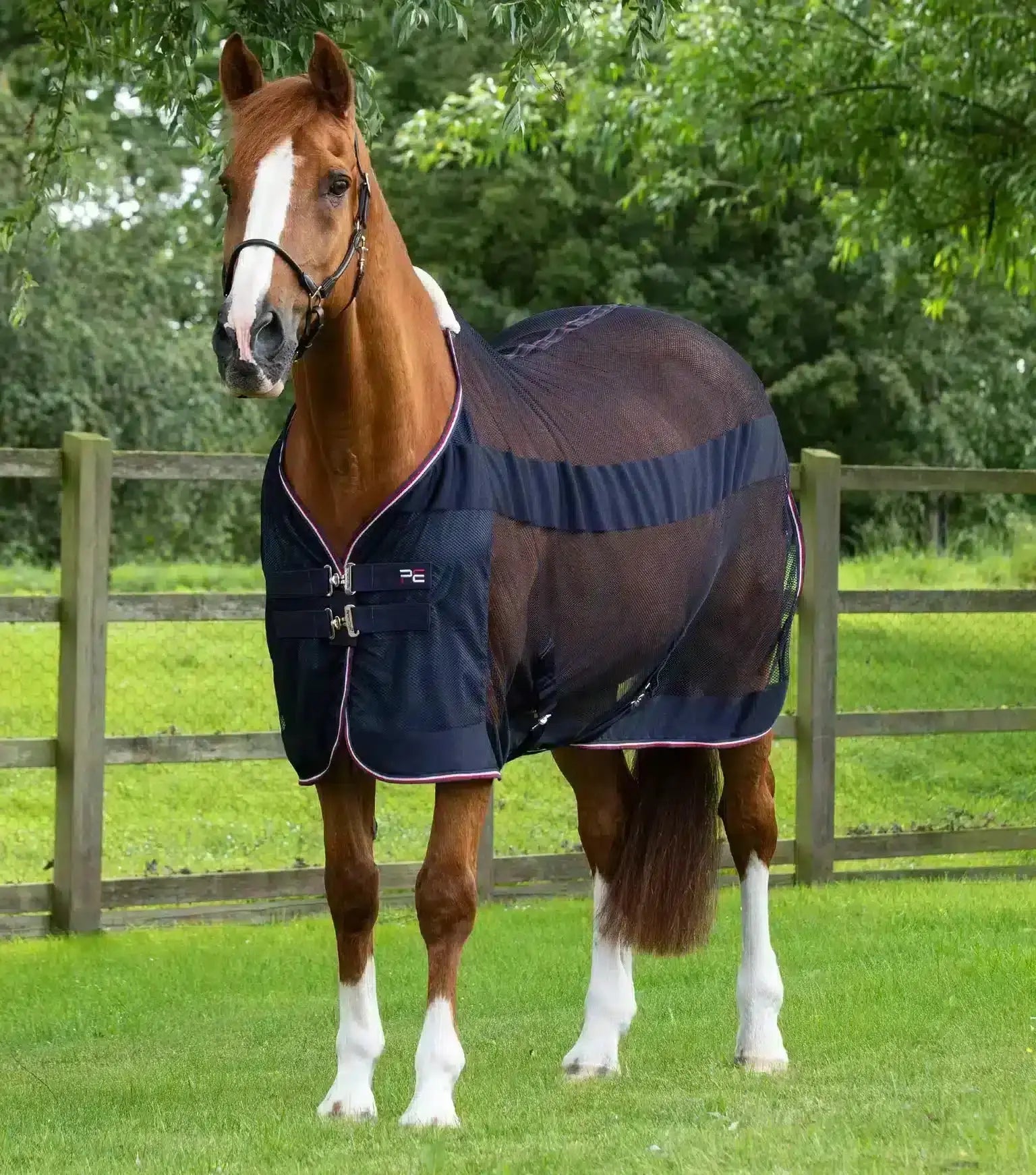 Premier Equine Arisca Scrim Cooler by Premier Equine at  Try a Bit