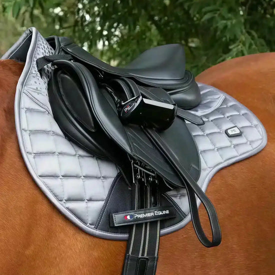 Premier Equine Armada Close Contact GP/Jump Square by Premier Equine at  Try a Bit