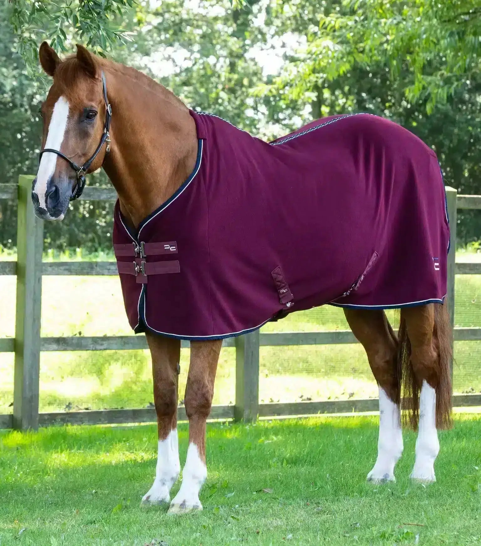 Premier Equine Asure Fleece Rug by Premier Equine at  Try a Bit