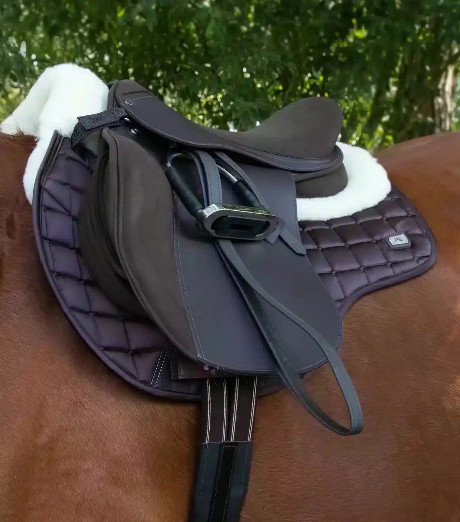 Premier Equine Atlantis CC Satin Wool GP/Jump Square by Premier Equine at  Try a Bit