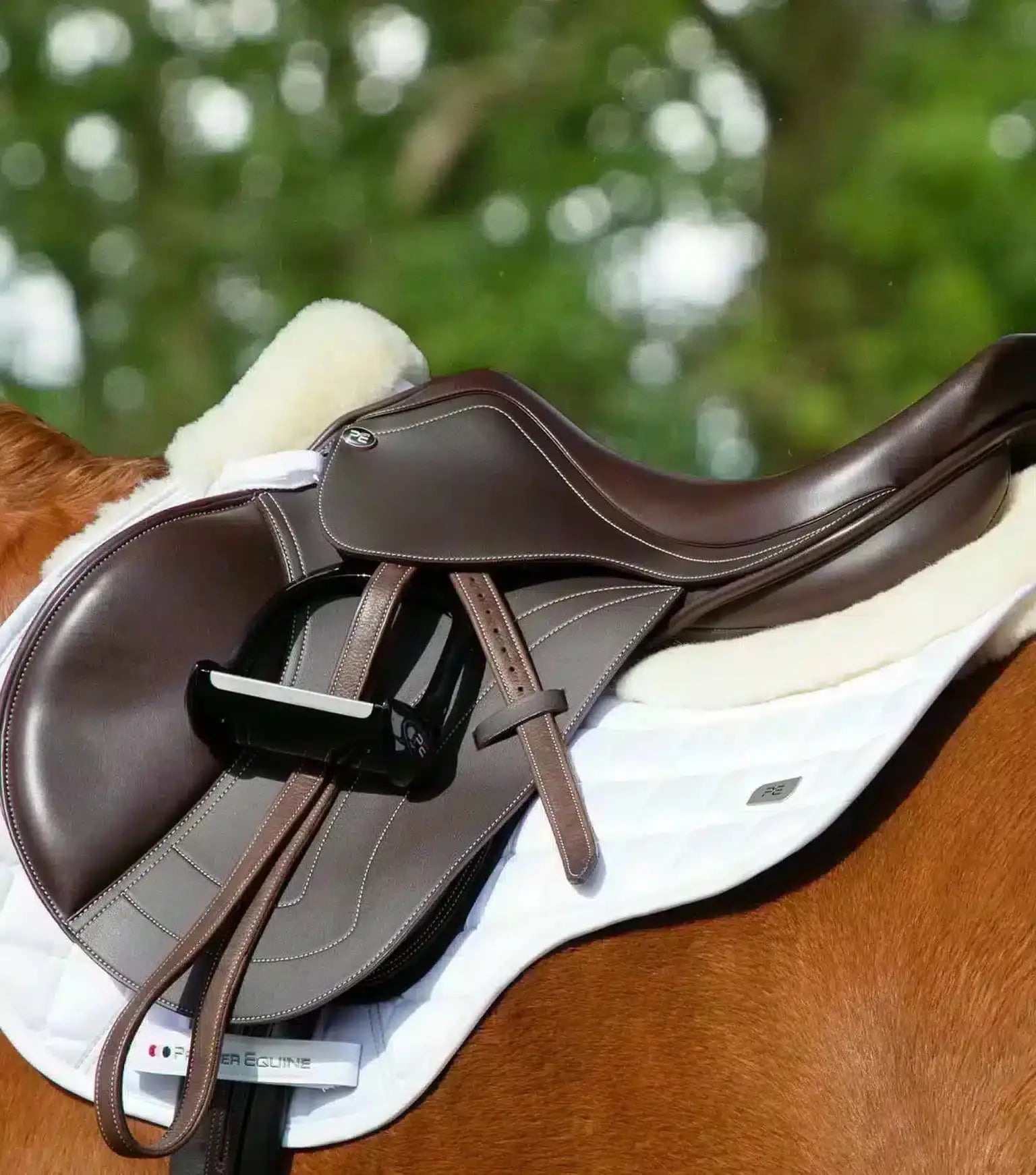 Premier Equine Atlantis CC Satin Wool GP/Jump Square by Premier Equine at  Try a Bit