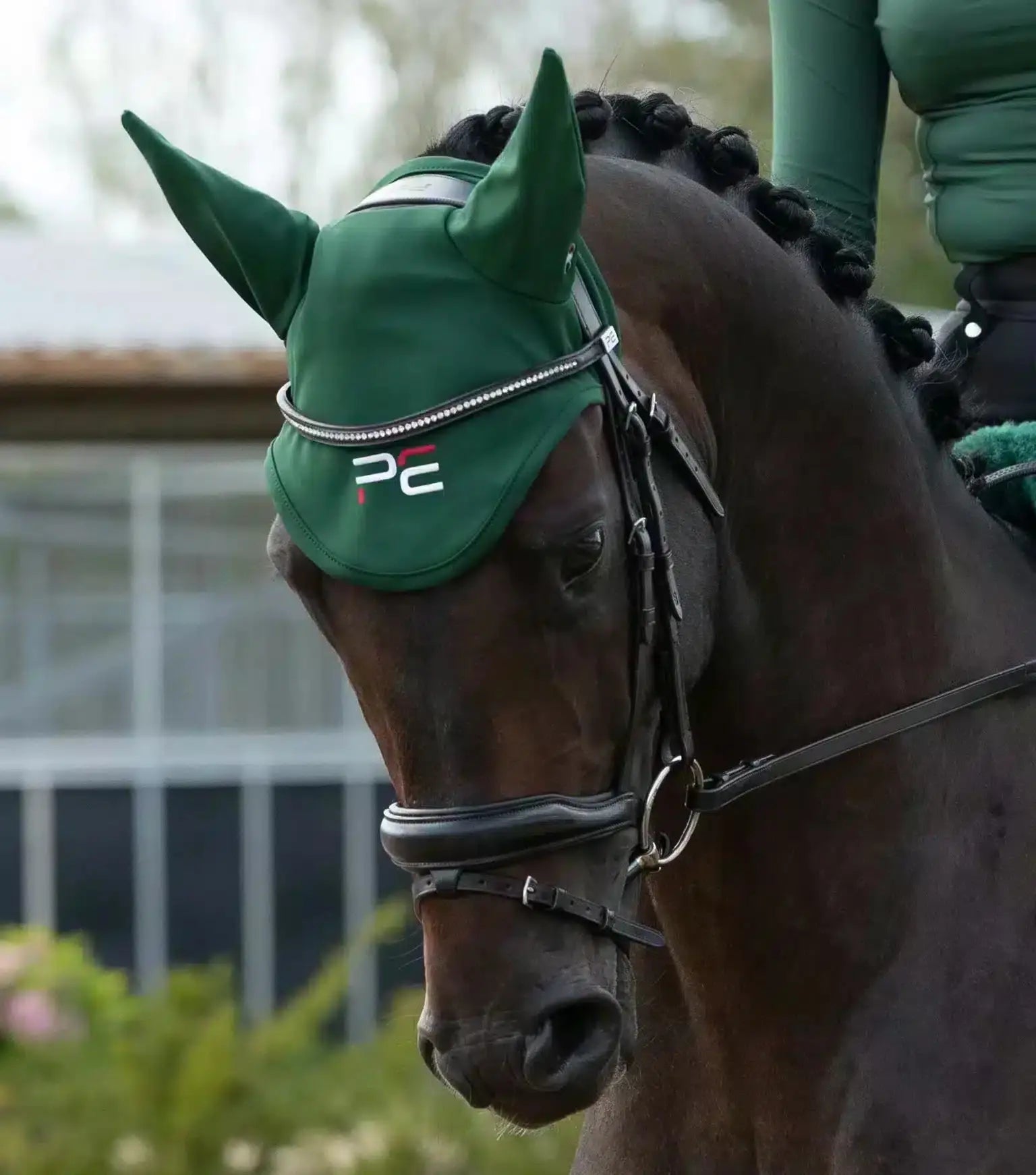 Premier Equine Atlas Fly Veil by Premier Equine at  Try a Bit