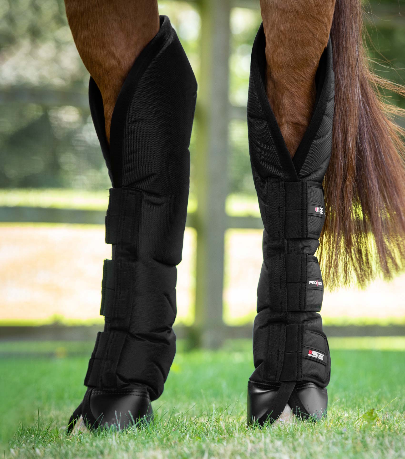 Premier Equine Ballistic Knee Pro-Tech Horse Travel Boots by Premier Equine at  Try a Bit