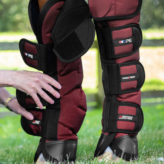Premier Equine Ballistic Knee Pro-Tech Horse Travel Boots by Premier Equine at  Try a Bit