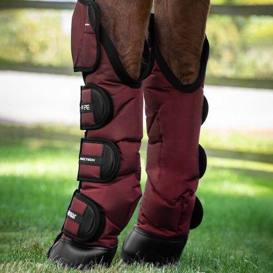 Premier Equine Ballistic Knee Pro-Tech Horse Travel Boots by Premier Equine at  Try a Bit