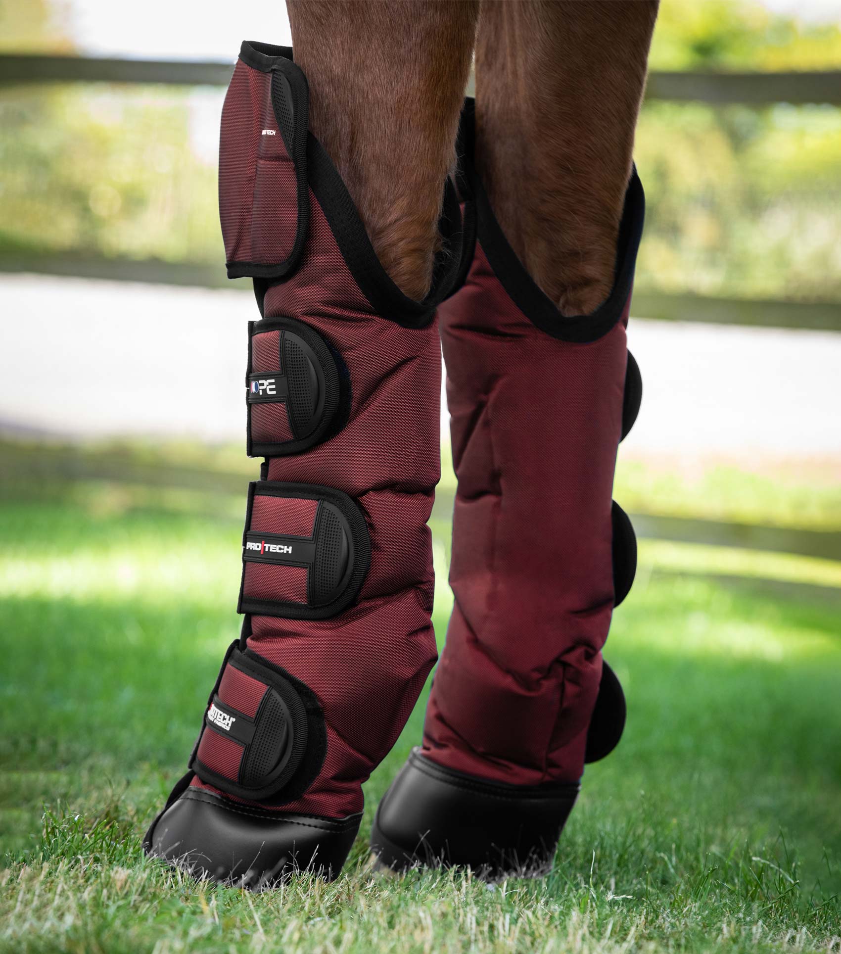 Premier Equine Ballistic Knee Pro-Tech Horse Travel Boots by Premier Equine at  Try a Bit