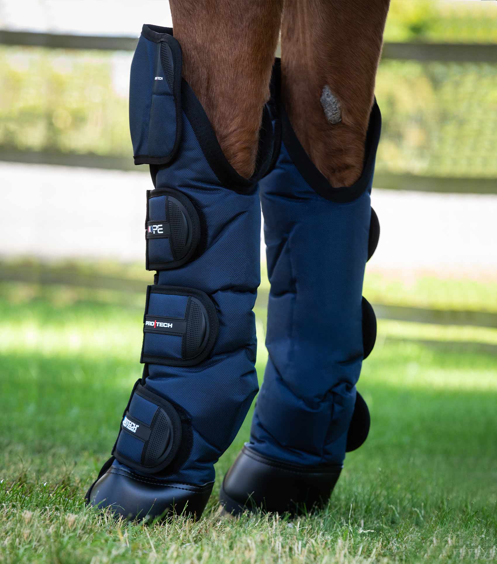 Premier Equine Ballistic Knee Pro-Tech Horse Travel Boots by Premier Equine at  Try a Bit
