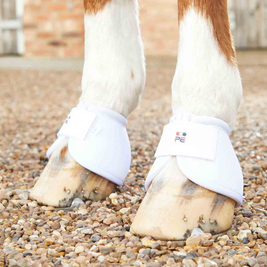 Premier Equine Ballistic No-Turn Over Reach Boots by Premier Equine at  Try a Bit