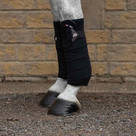Premier Equine Horse Bandage Pad Wraps by Premier Equine at  Try a Bit