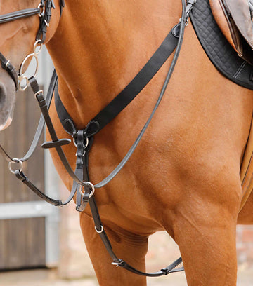 Premier Equine Baressa Elastic Jumping Breastplate by Premier Equine at  Try a Bit