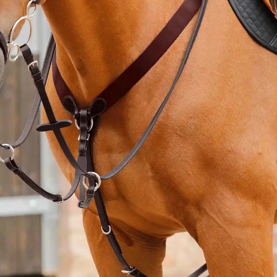 Premier Equine Baressa Elastic Jumping Breastplate by Premier Equine at  Try a Bit