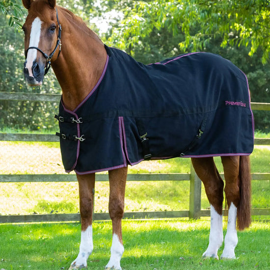 Premier Equine Barrasso Stable Sheet by Premier Equine at  Try a Bit
