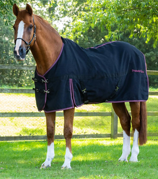 Premier Equine Barrasso Stable Sheet by Premier Equine at  Try a Bit