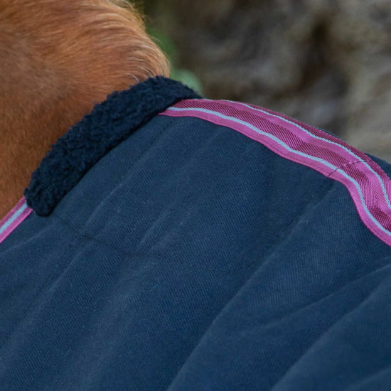 Premier Equine Barrasso Stable Sheet by Premier Equine at  Try a Bit