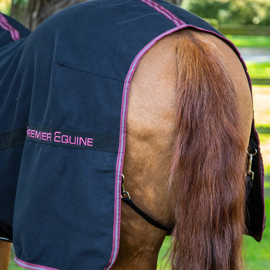 Premier Equine Barrasso Stable Sheet by Premier Equine at  Try a Bit