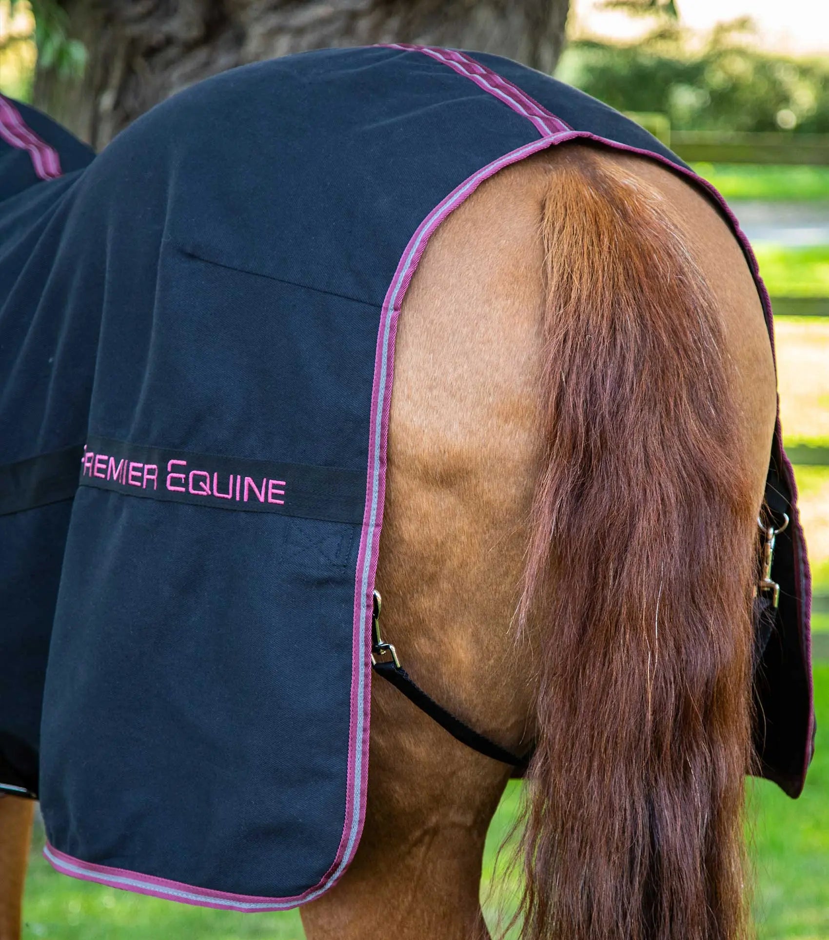 Premier Equine Barrasso Stable Sheet by Premier Equine at  Try a Bit