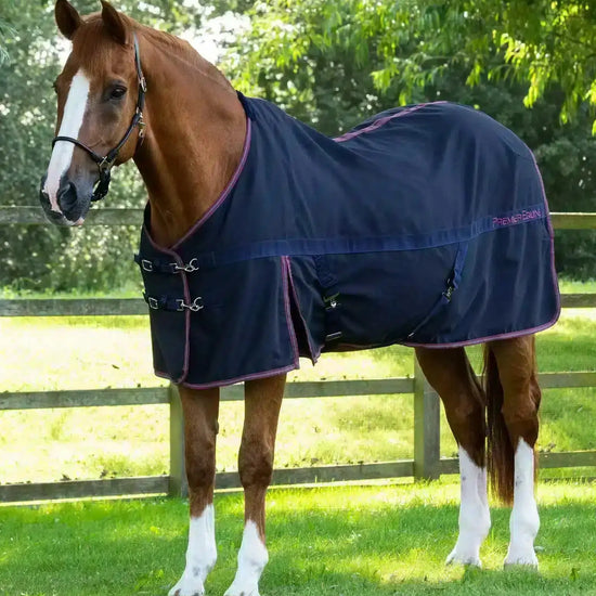 Premier Equine Barrasso Stable Sheet by Premier Equine at  Try a Bit