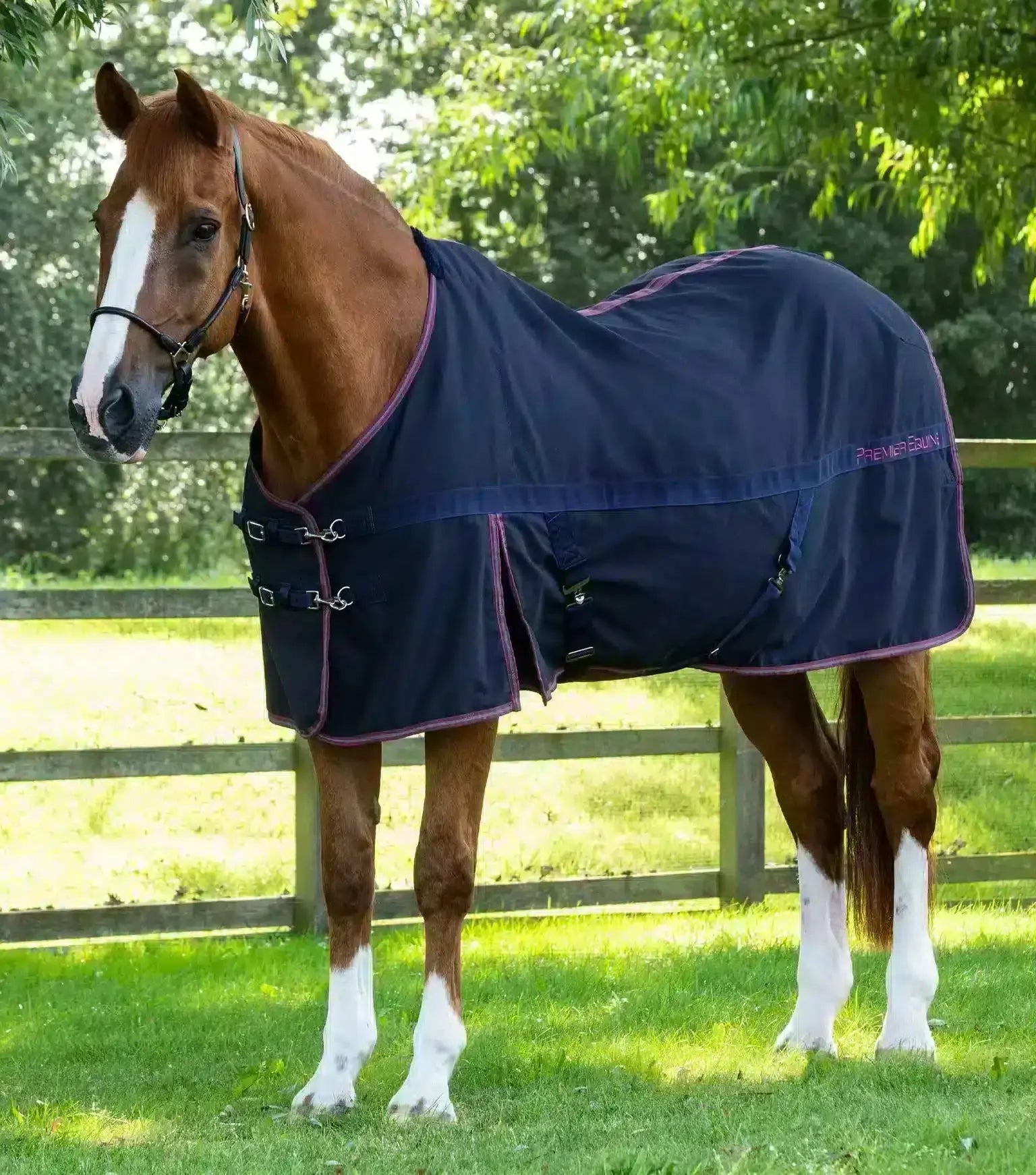 Premier Equine Barrasso Stable Sheet by Premier Equine at  Try a Bit