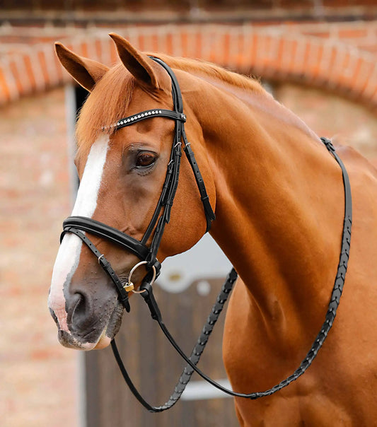 Premier Equine Bellissima Crank Bridle with Diamante Browband by Premier Equine at  Try a Bit